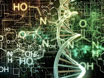 Bioorganic Chemistry