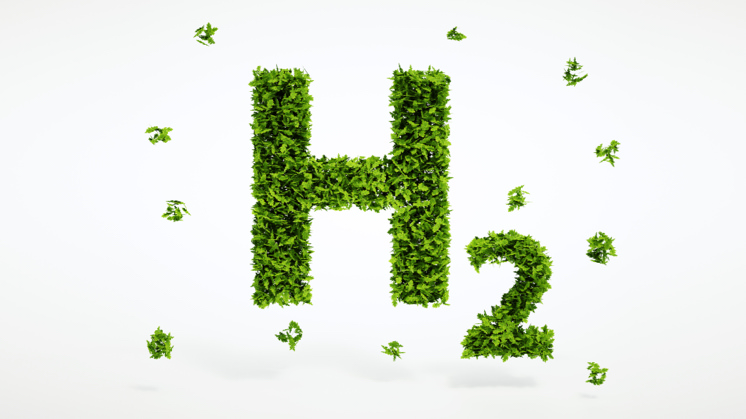 Green and Sustainable Hydrogen Production Processes