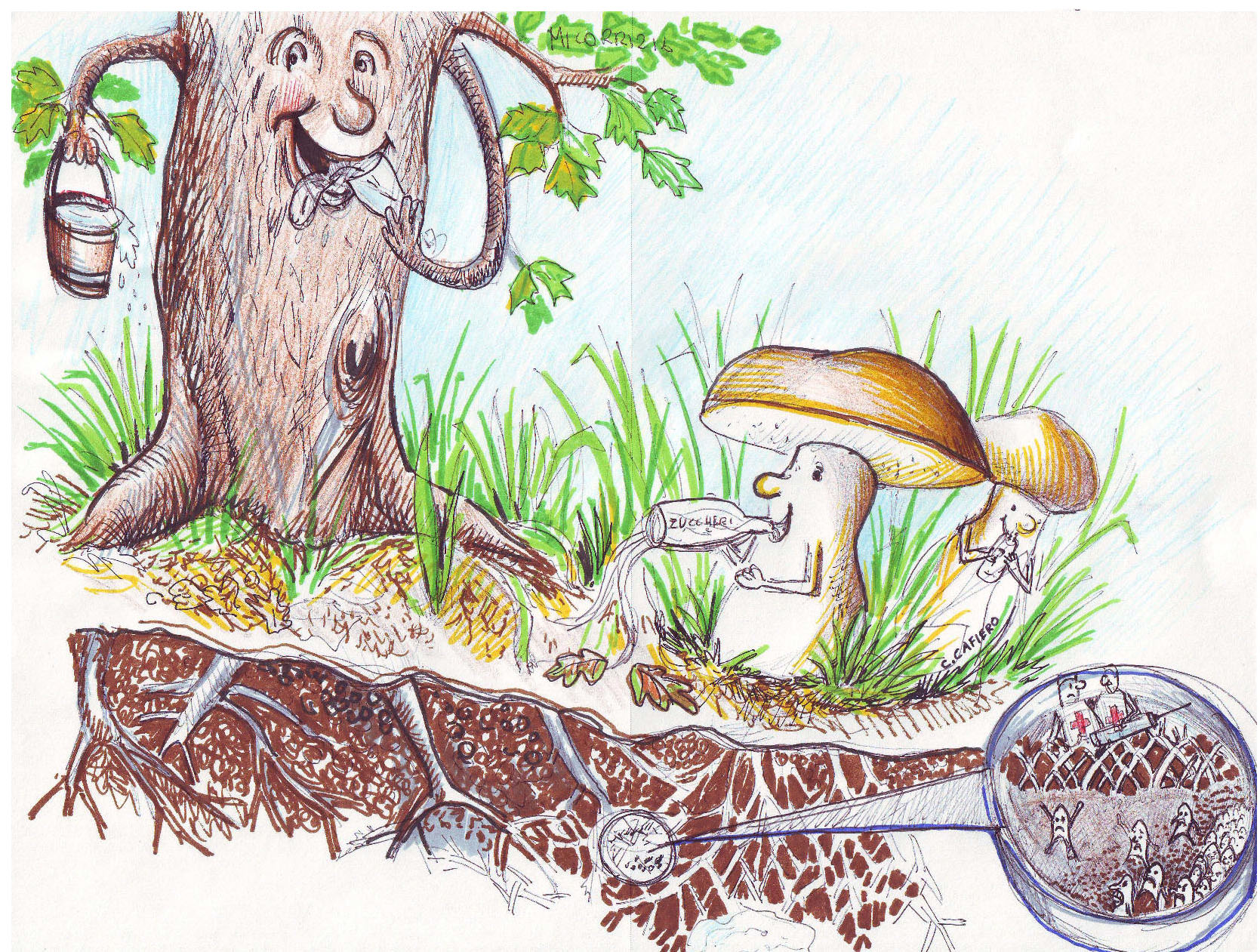 Piante e Funghi per la Sostenibilità Ambientale