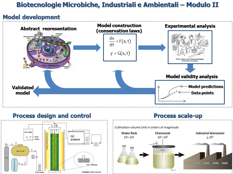 Biotecnologie MIcrobiche, Industriali e Ambientali - Modulo II (AA. 2023/24)