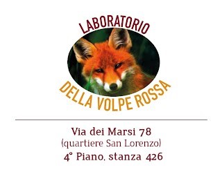 Servizio di valutazione e consulenza sui disturbi dell'apprendimento e del neurosviluppo: laboratorio della volpe rossa
