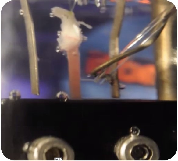 Biomeccanica e Ingegneria Tissutale 