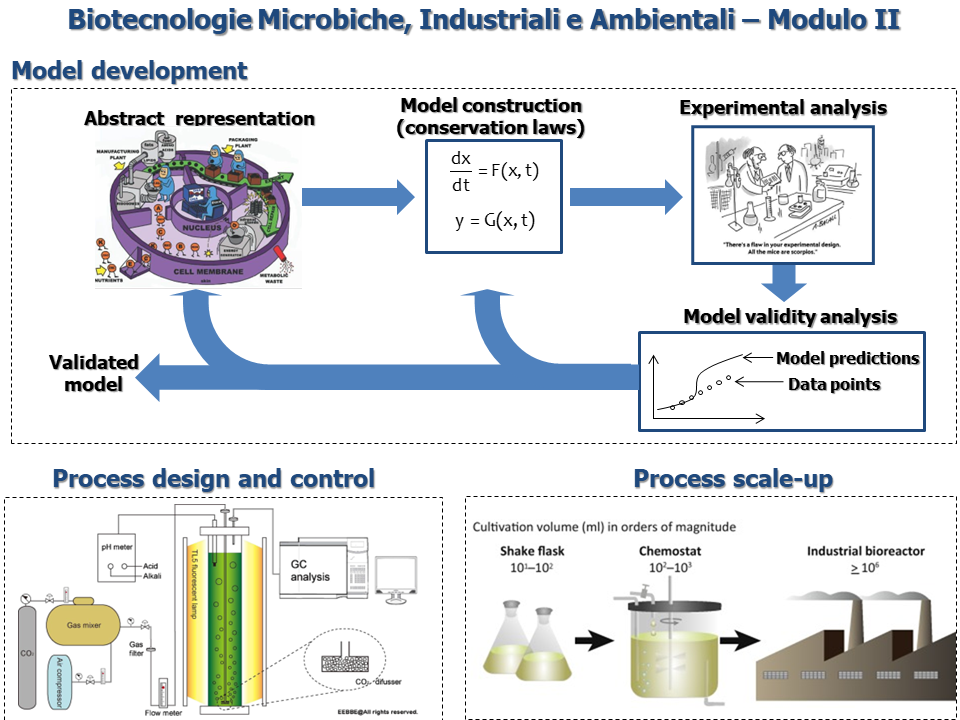 Biotecnologie Microbiche Industriali e Ambientali - Modulo II (A.A. 2024/25)