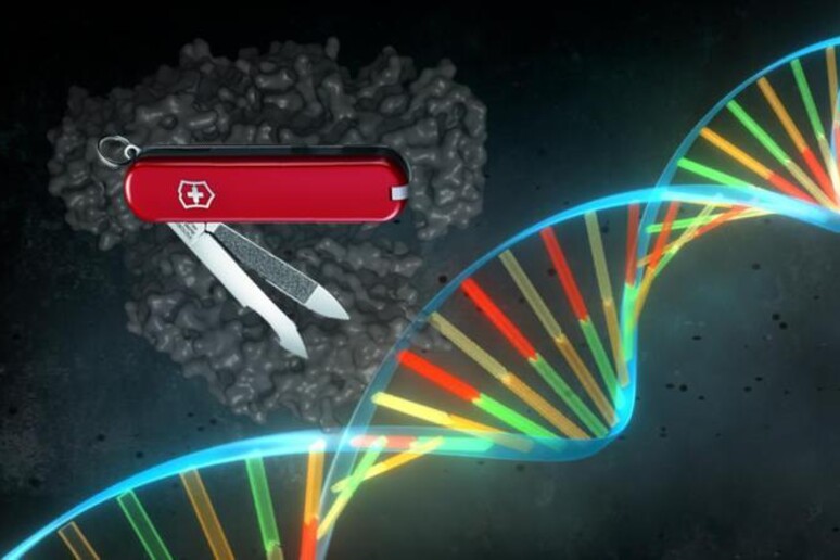 Biotecnologie ricombinanti AA2024_2025