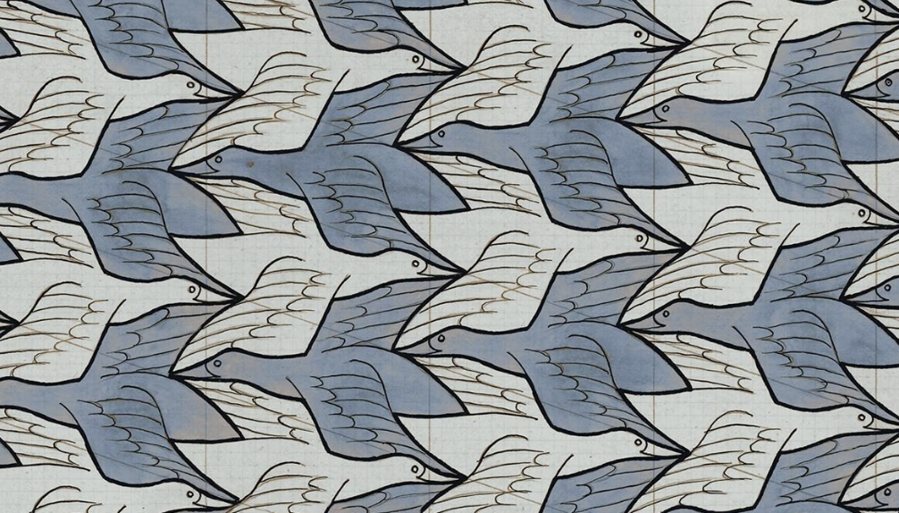 Didattica delle Scienze 2025/26