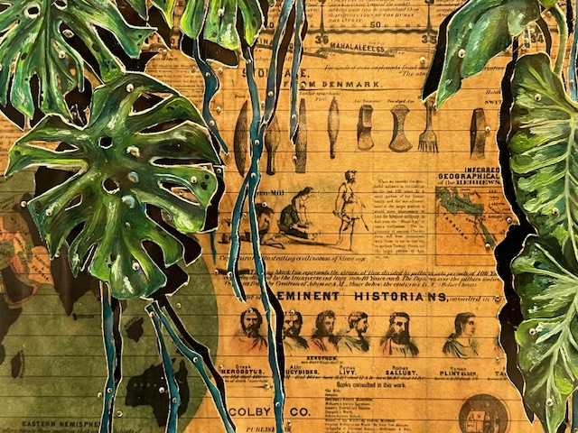 25/26 Evoluzione Conservazione della Diversità Vegetale