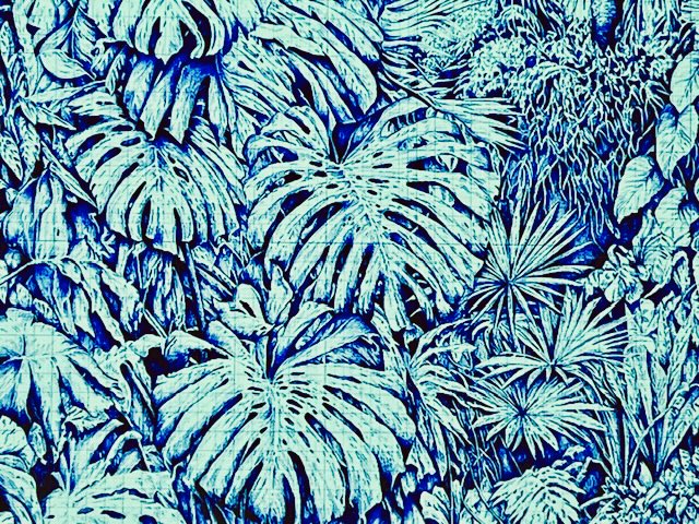 25/26  Diversità vegetale e flora d'Italia