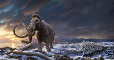 25/26 Laboratorio di DNA antico e ricostruzioni del passato