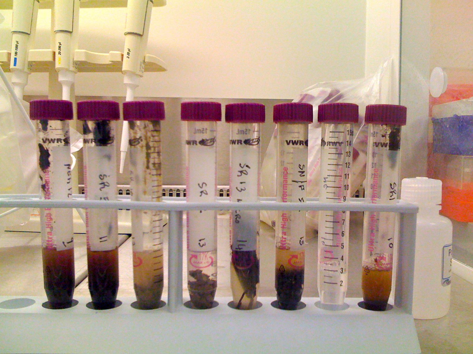 25/26 Advanced biological methods applied to cultural heritage