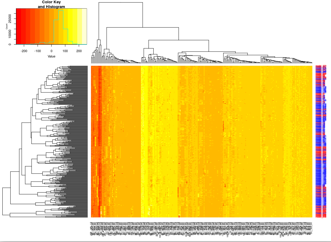 Data Analysis 2025/2026