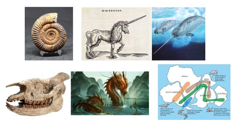 Storia della Geologia e della Paleontologia (2025/2026)