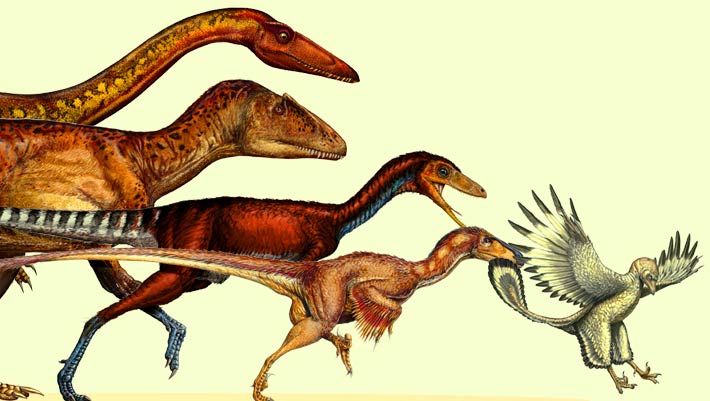 Paleontologia Scienze Naturali (MZ, ROMANO) 2025-2026