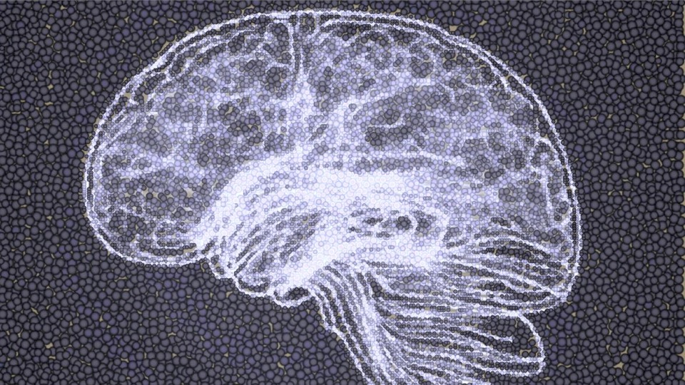 Neuropsicologia Sperimentale A.A. 2025/2026 - Prof. Teghil
