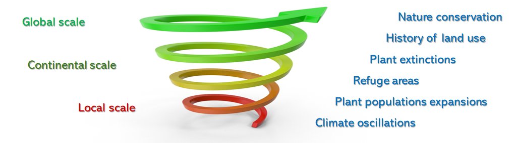 Plant Paleoecology and Evolution 2025-2026