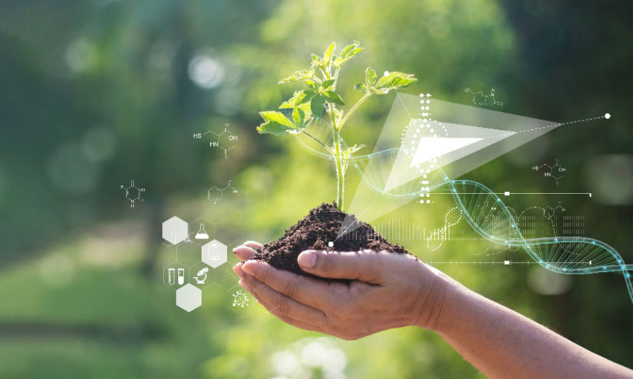 Botanica BAAI 2025-2026