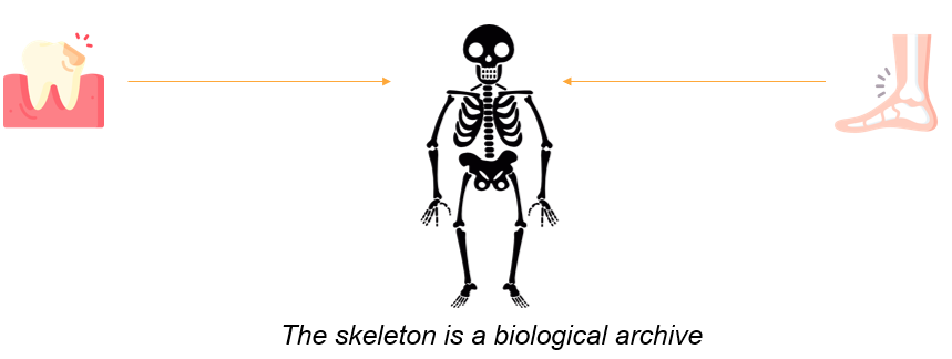 Paleobiologia e Paleopatologia