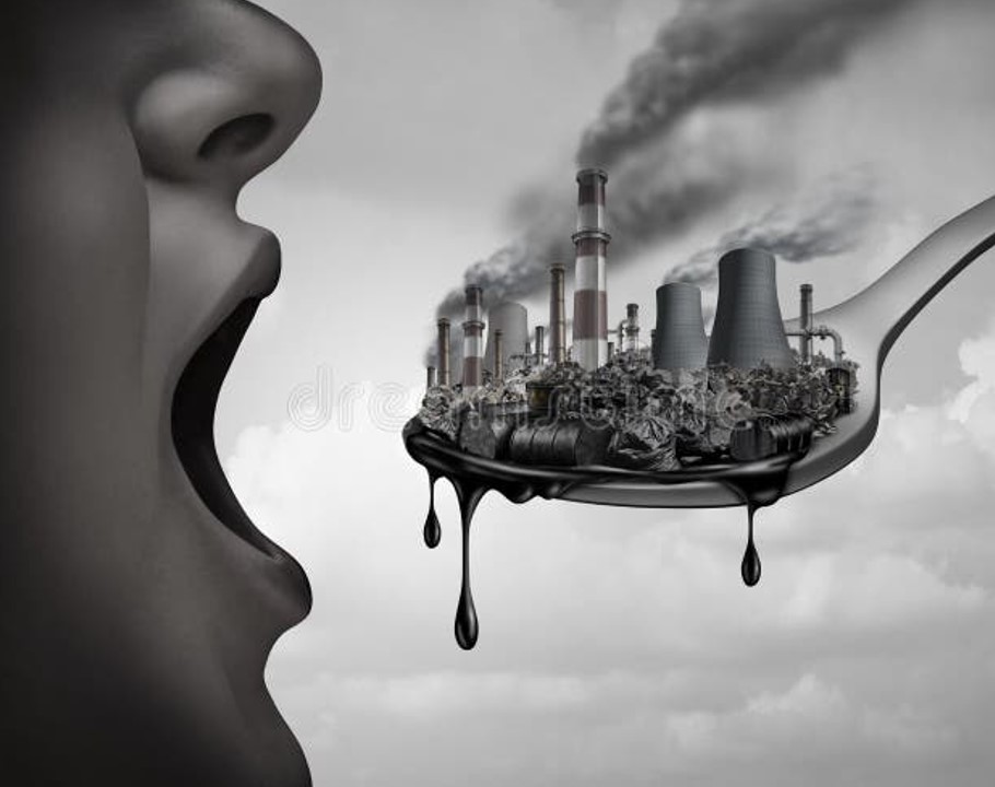 Indicatori Biologici di tossicità ambientale 25/26