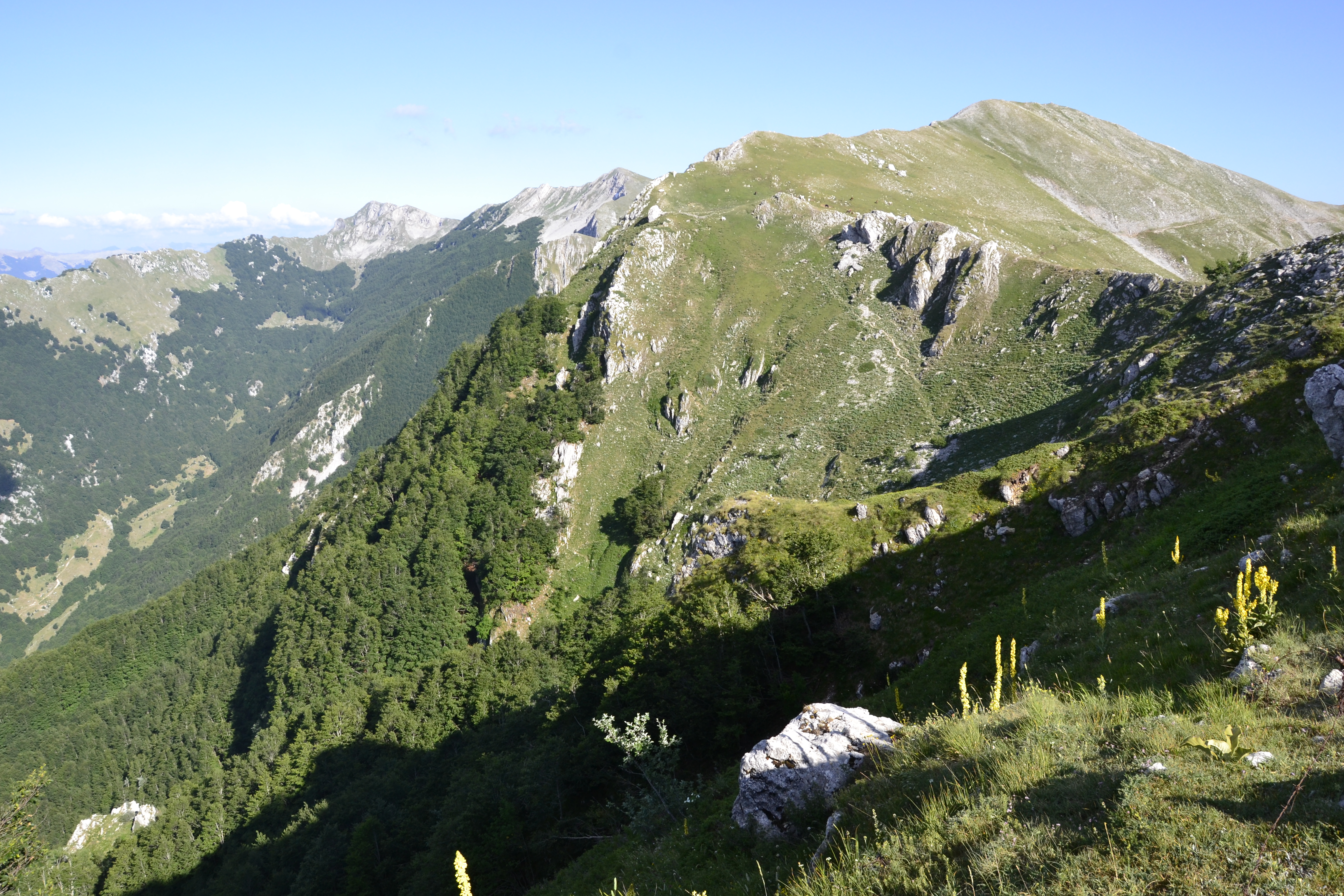 Rilevamento Geologico