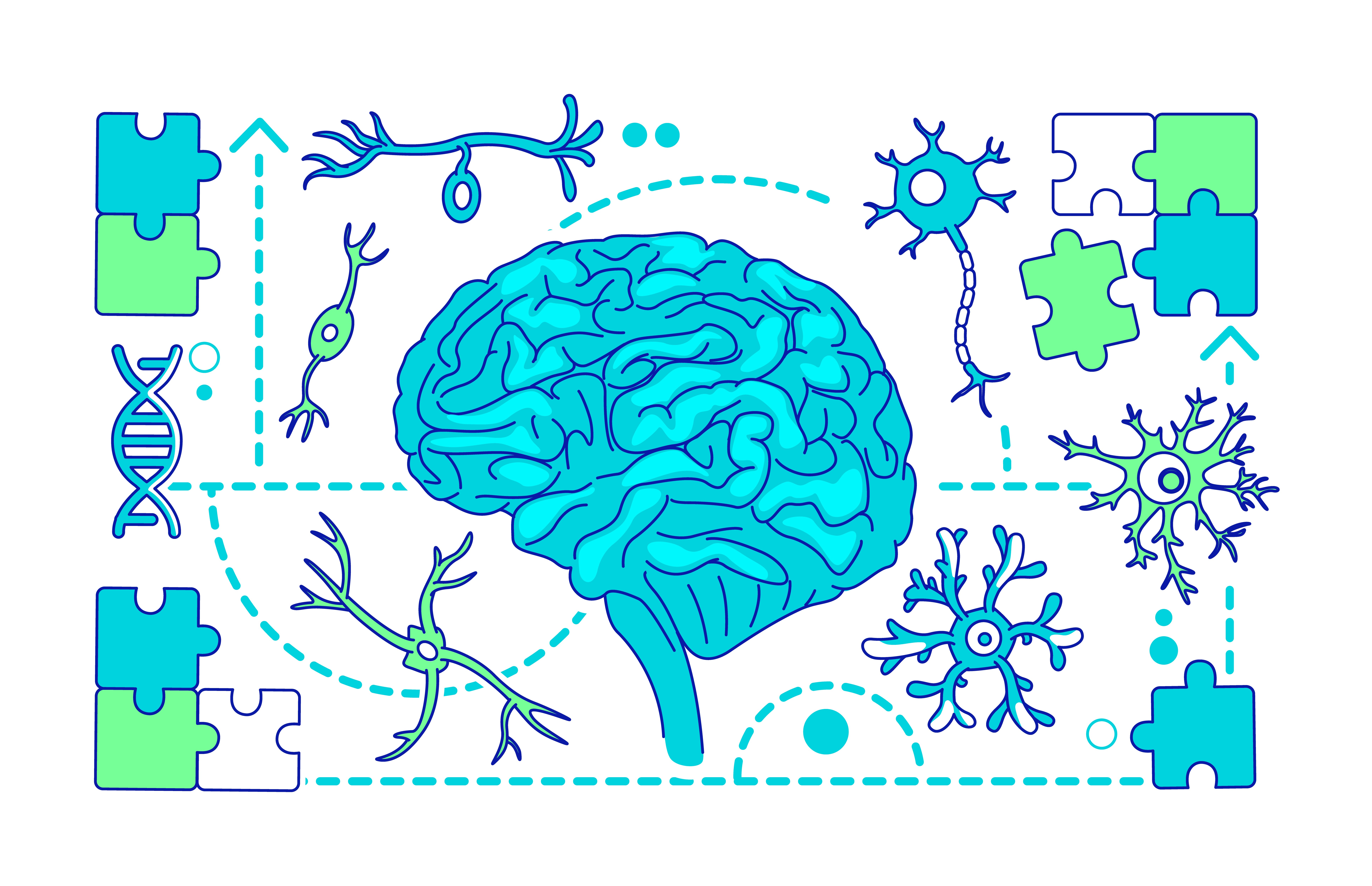 Neuroanatomia comparata 2026-2027 (prof. Toni)
