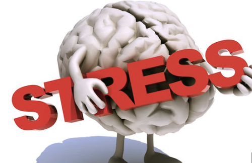 Psicobiologia dello stress 2026-27