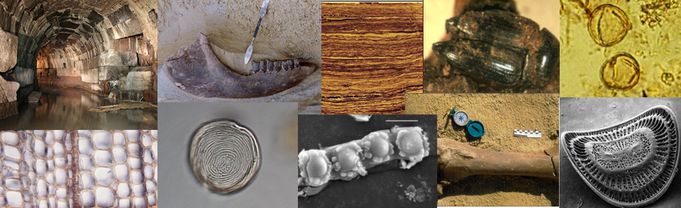 Environmental Archaeology 2026-2027