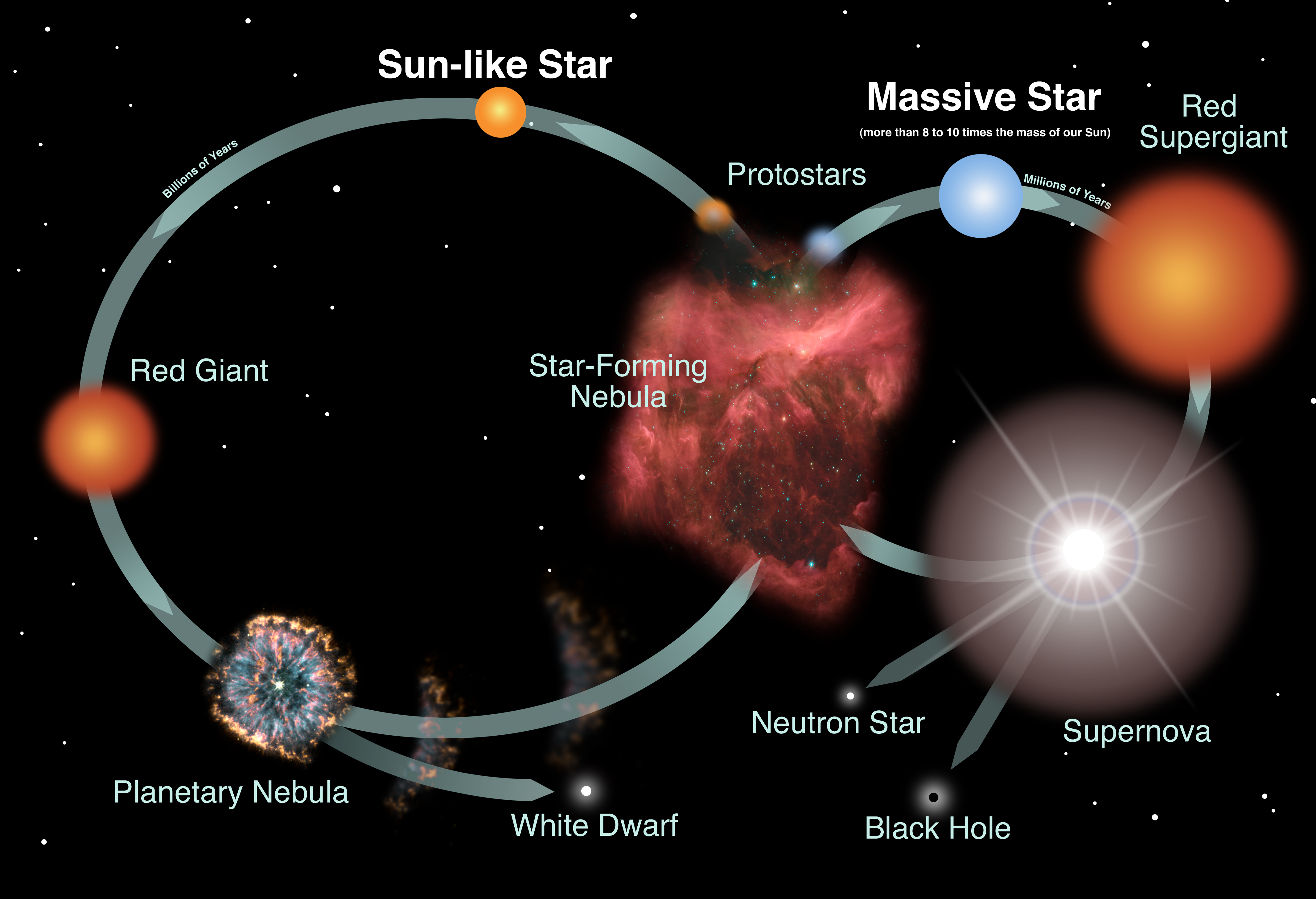 Stellar Astrophysics AA 2025/2026
