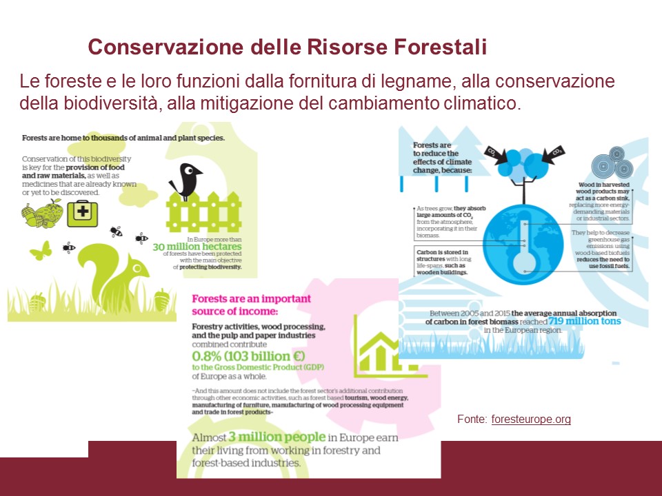 Conservazione delle Risorse Forestali
