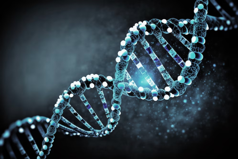 METODOLOGIE DEL DNA RICOMBINANTE